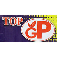 Top-GP