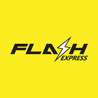 Logo-Flash